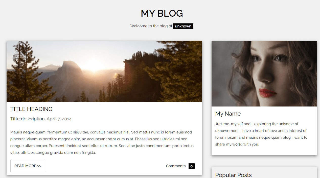 screenshot of a demo blog
